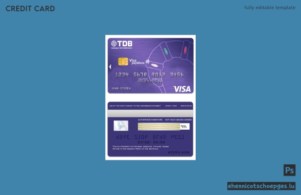 Beispielvorschau der TDB Bank Visa PayWave-Karte in der Mongolei